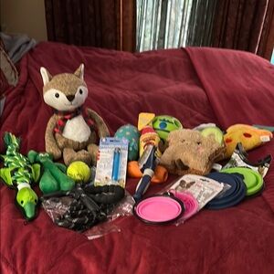 Fun toys for dogs toys brush bowls leash  make your dog happy